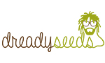 Dready Seeds